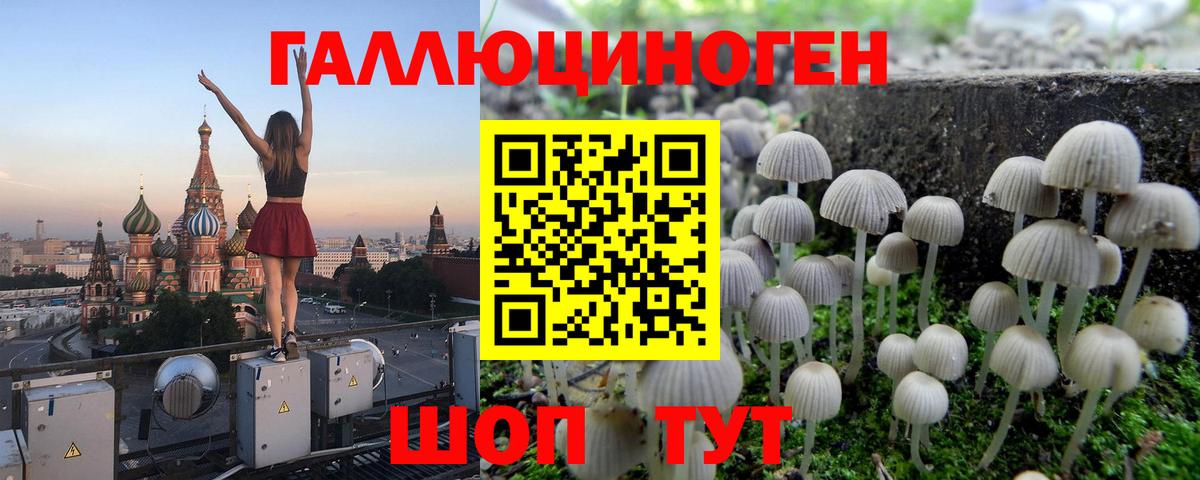 купить  сайты  Галлюциногенные грибы Psilocybine cubensis  Вход с VPN  Полысаево  Галлюциногенные грибы Psilocybe 